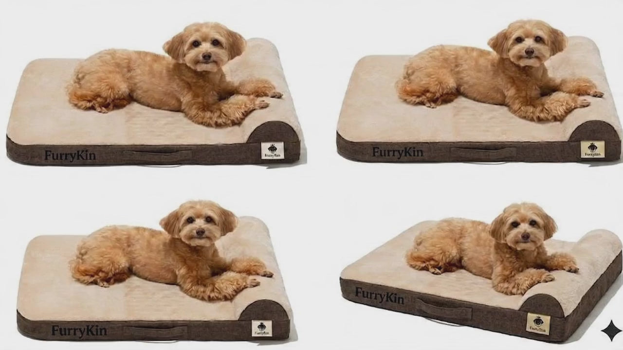 FurryKin Orthopaedic Dog Bed - Small